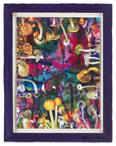 Untitled (SHRooMS purple frame), 2020, Watercolor and collage on paper with artist frame (reclaimed wood), 14 1/2 x 11 1/2 inches, 36.8 x 29.2 cm, MMG#32888