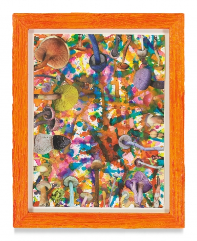 Untitled (SHRooMS), 2021, Watercolor and collage on paper with artist frame (reclaimed wood), 14 5/8 x 11 3/4 inches, 37.1 x 29.8 cm, MMG#33188