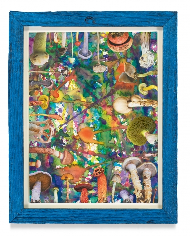 Untitled (SHRooMS), 2021, Watercolor and collage on paper with artist frame (reclaimed wood), 14 5/8 x 11 3/4 inches, 37.1 x 29.8 cm, MMG#33180