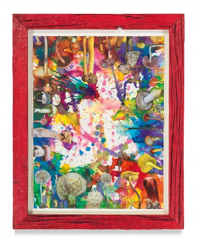 Untitled (SHRooMS), 2021, Watercolor and collage on paper with artist frame (reclaimed wood), 14 5/8 x 11 3/4 inches, 37.1 x 29.8 cm, MMG#33187