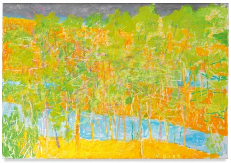 Broken River II, 2012, Oil on canvas, 36 x 52 inches, 91.4 x 132.1 cm, MMG#30118
